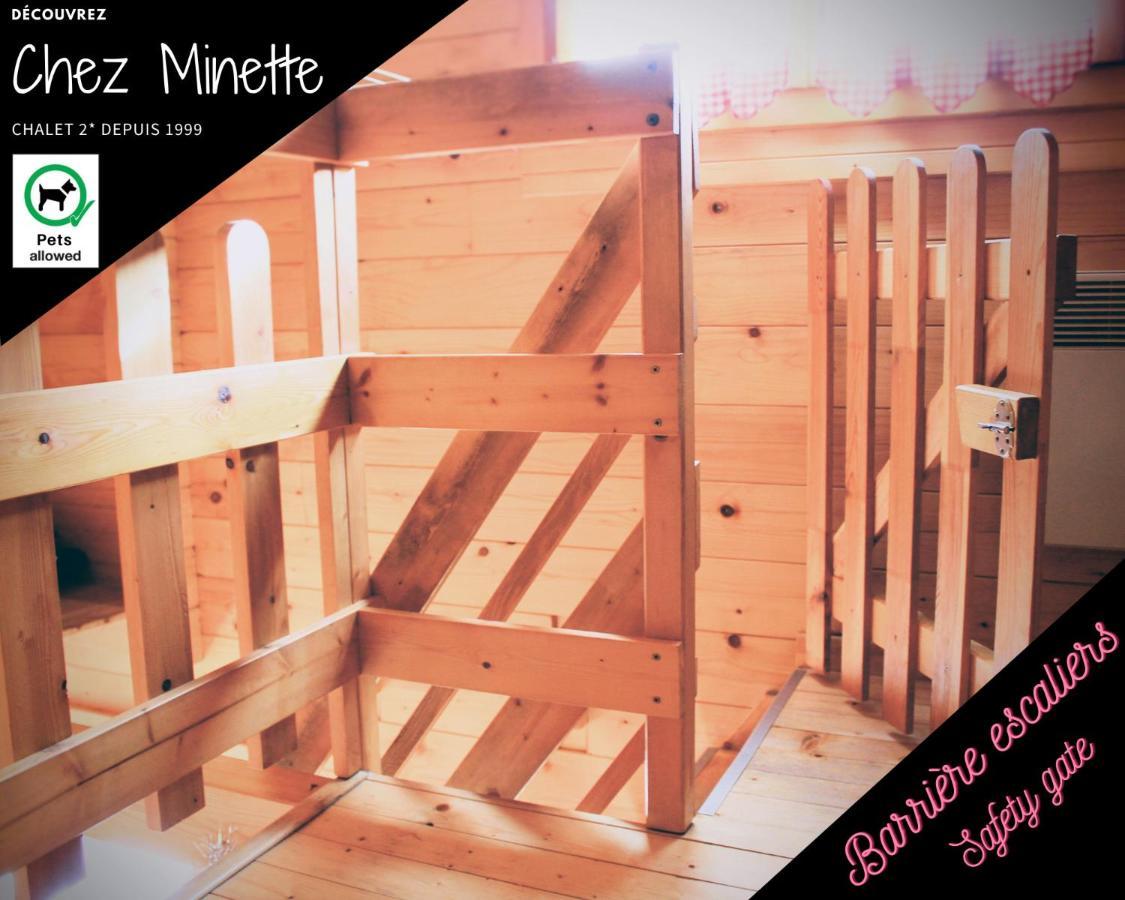 Le "Chalet De Minette" 2 Etoiles La Bresse Exteriér fotografie