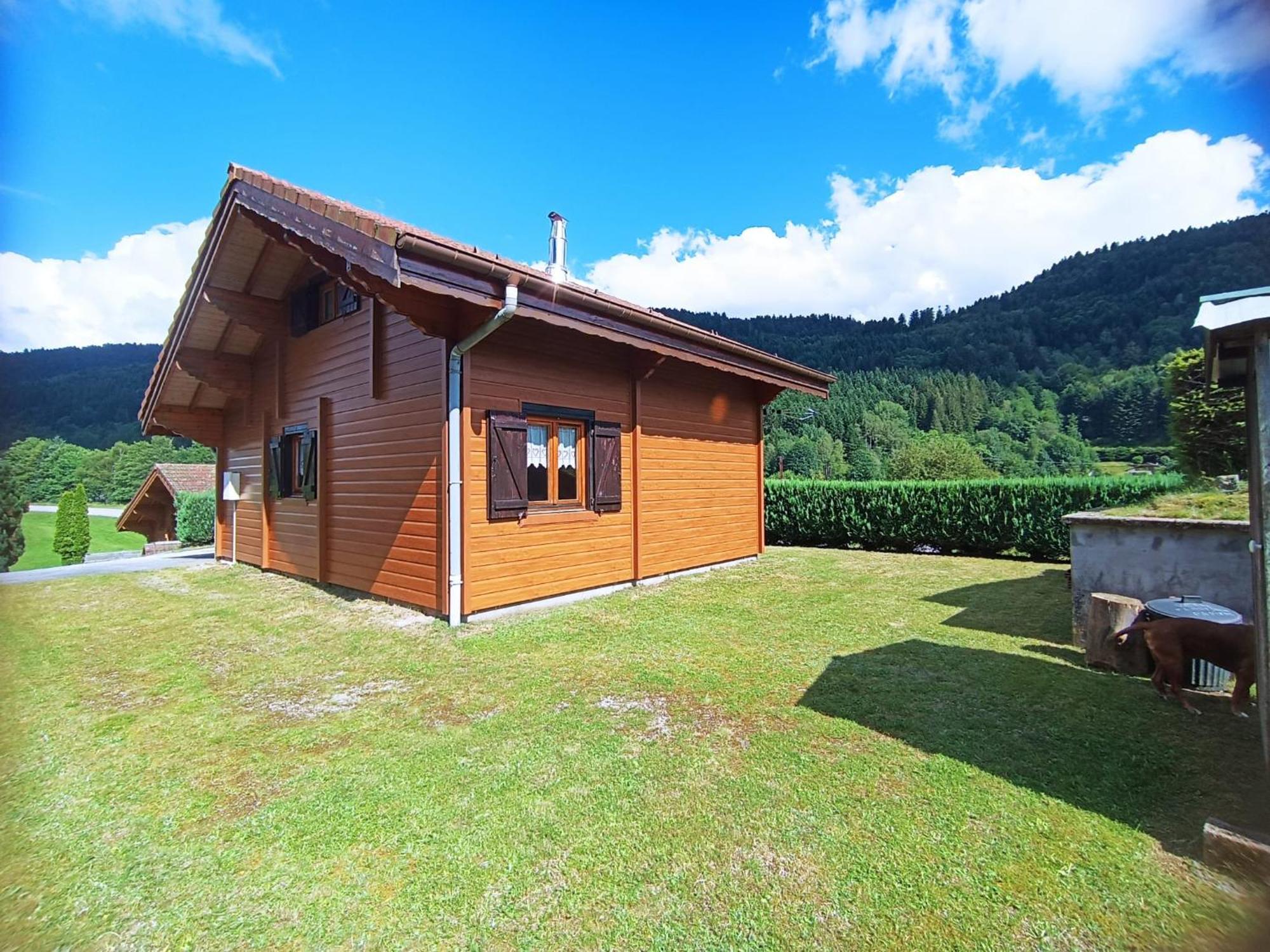 Le "Chalet De Minette" 2 Etoiles La Bresse Exteriér fotografie